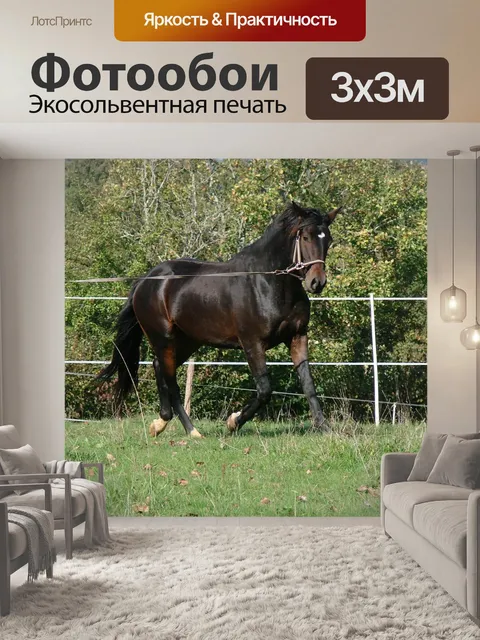 Фотообои Спорт
