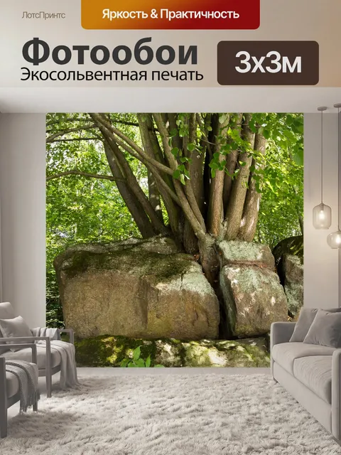 Фотообои Жизнь