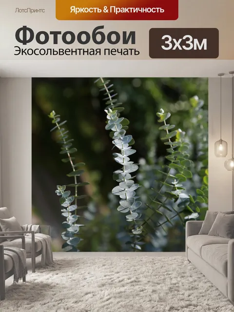 Фотообои Эвкалипт