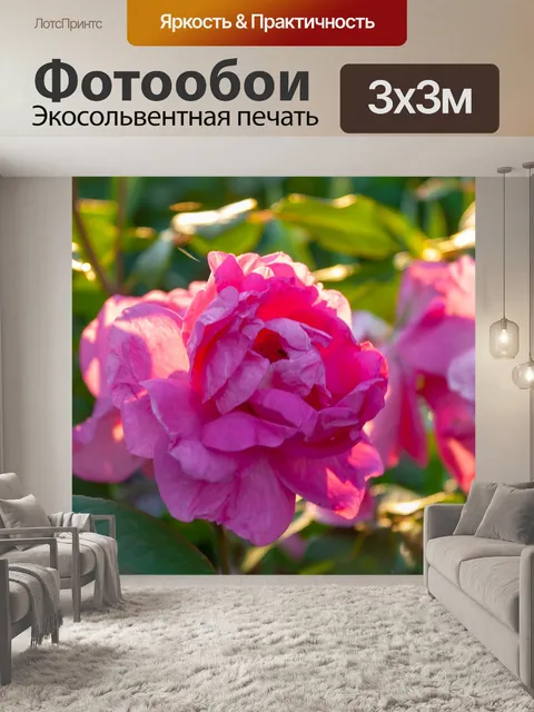 Фотообои Цветы