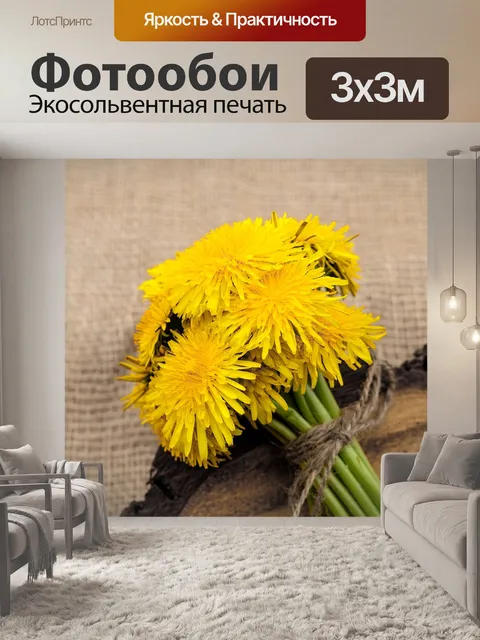 Фотообои Одуванчик