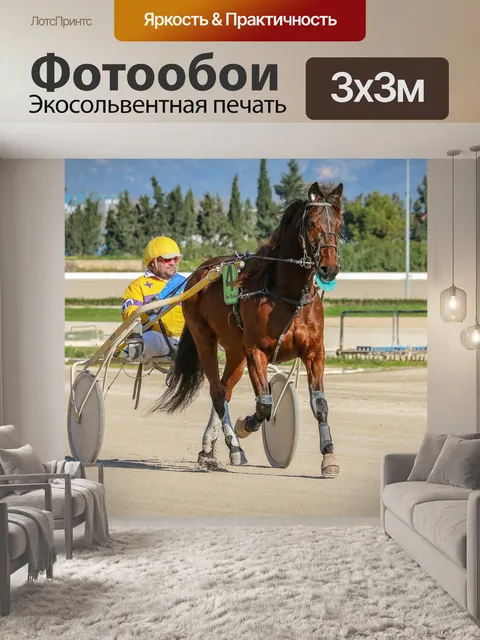 Фотообои Лошади