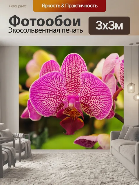 Фотообои Орхидея