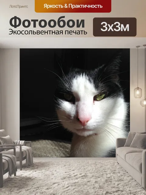 Фотообои Кошка