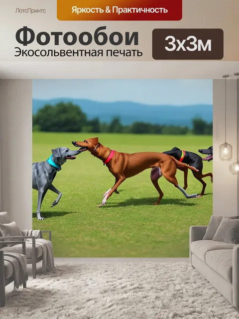 Фотообои с собаками борзыми