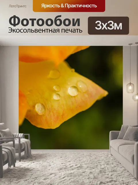 Фотообои Роза в саду