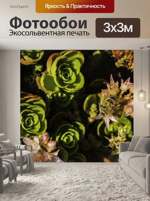 Фотообои Пчела