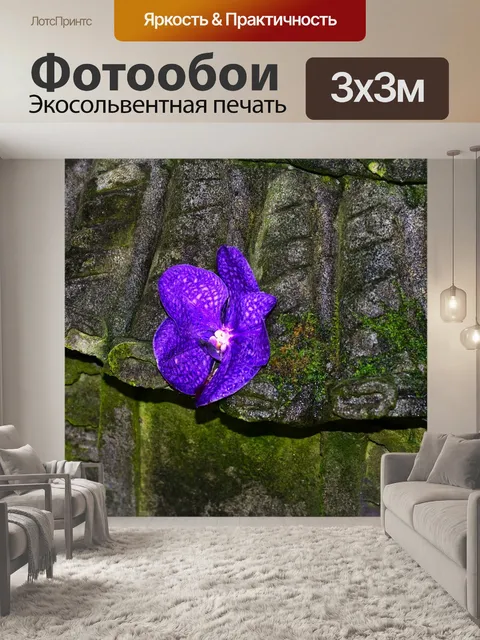 Фотообои Цветок