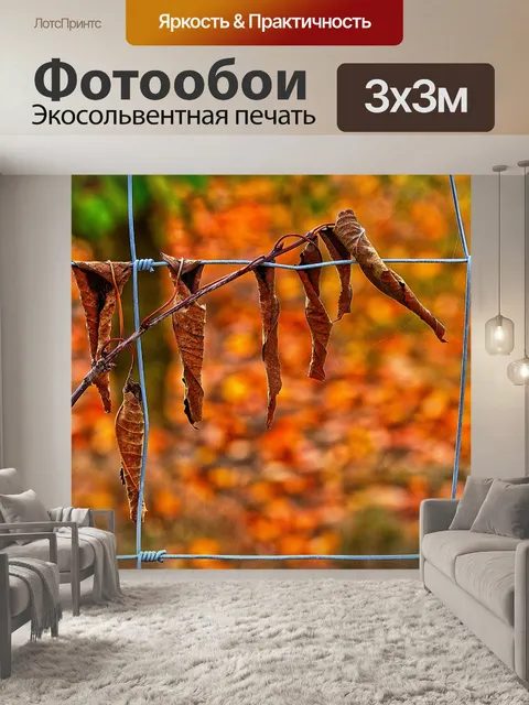 Фотообои Лист