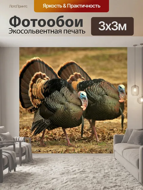 Фотообои Два Тома Турции осенью