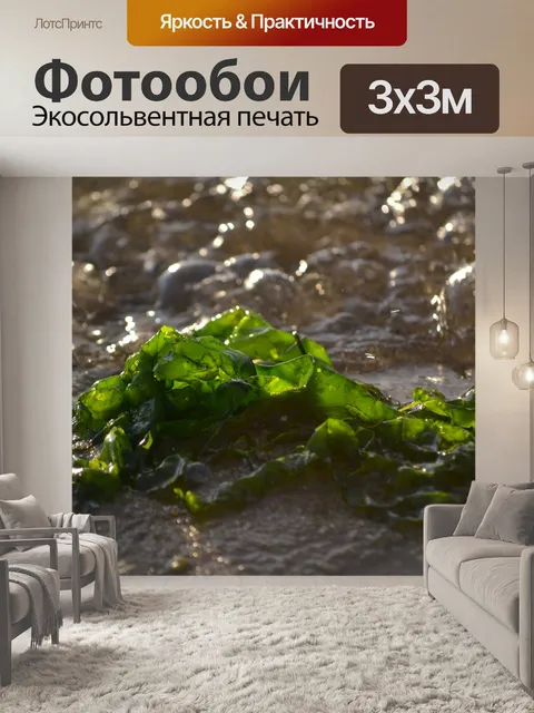 Фотообои Море