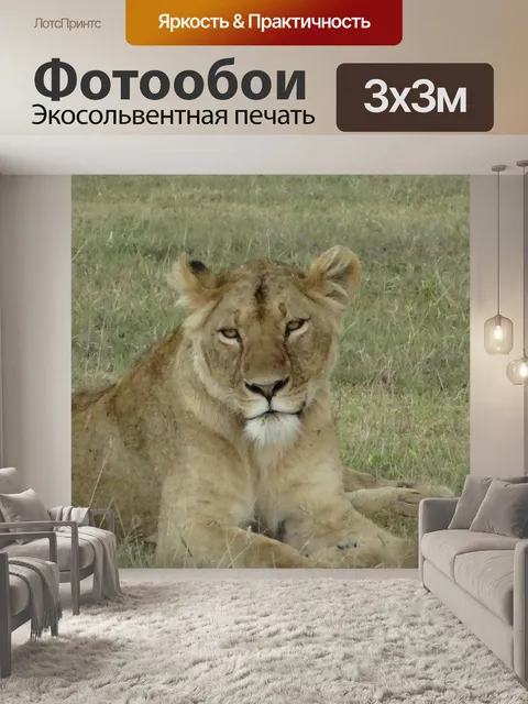 Фотообои Львица