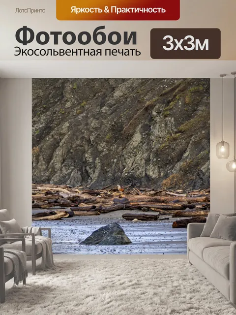 Фотообои коряги лесные деревья