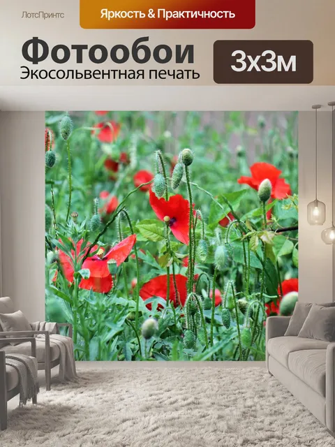 Фотообои Маки