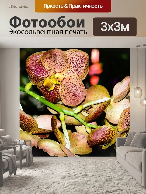 Фотообои Красота