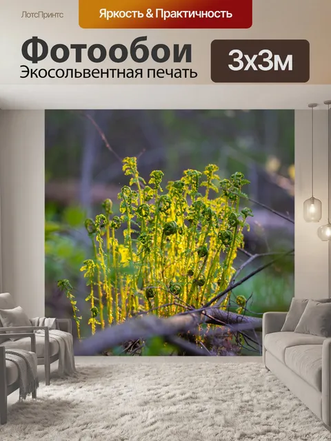Фотообои Папоротник