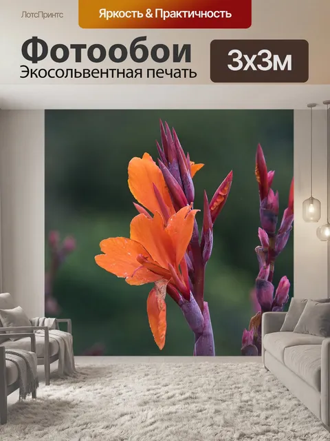 Фотообои Цветы