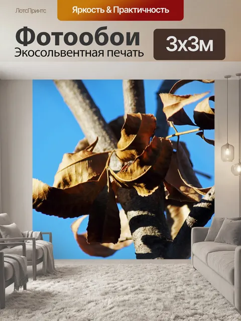 Фотообои Сухие коричневые листья ореха пекан