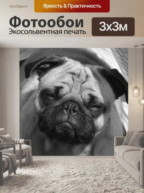 Фотообои Картина