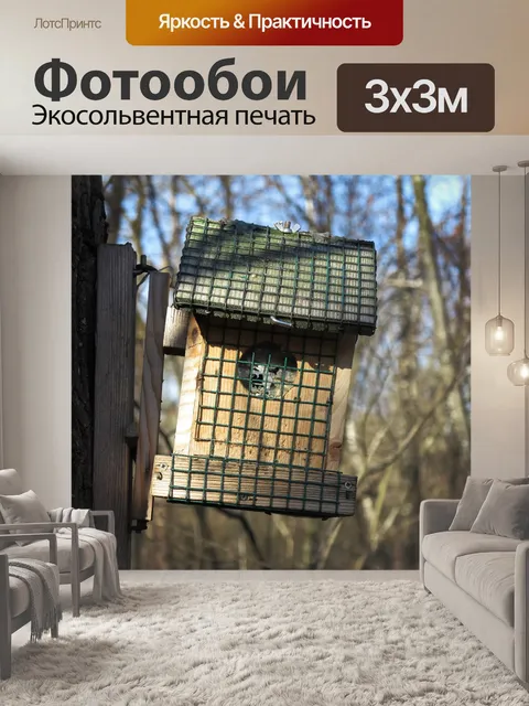 Фотообои Птичья коробка