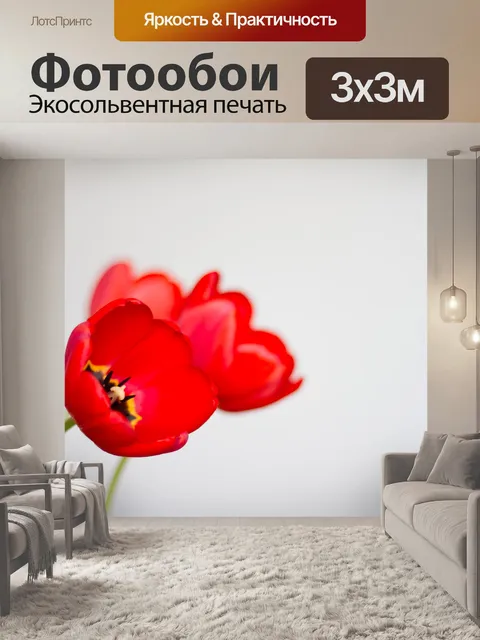 Фотообои Тюльпаны