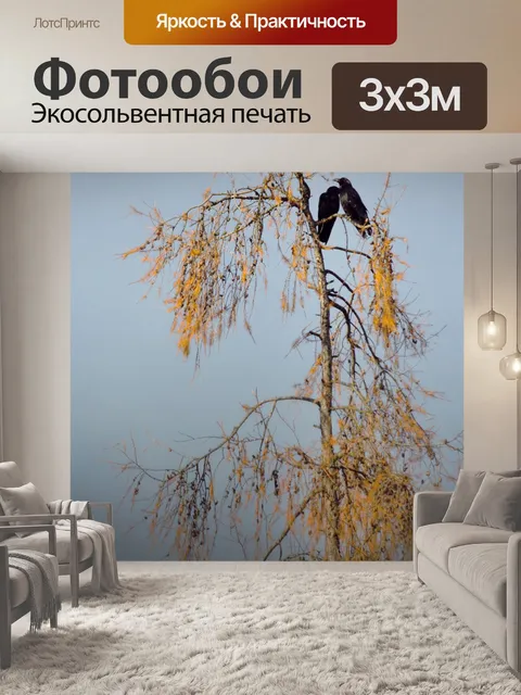 Фотообои Птицы