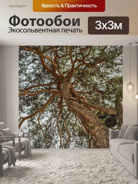 Фотообои Дерево