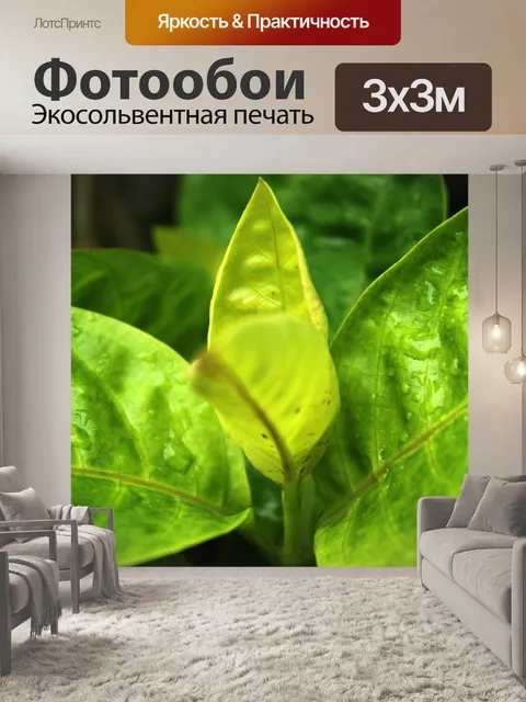 Фотообои Листья