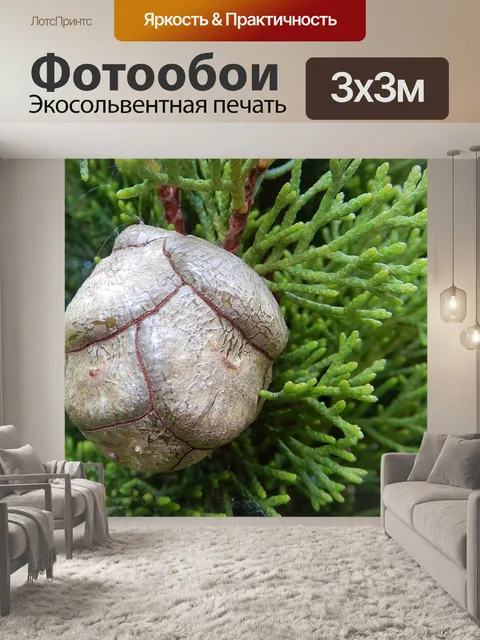 Фотообои Природа