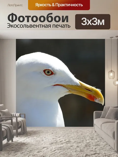 Фотообои Животное