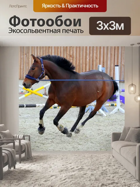 Фотообои Лошадь