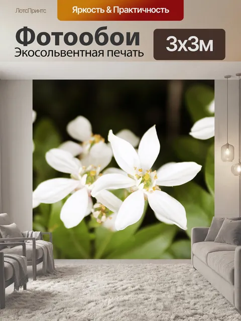 Фотообои Белый