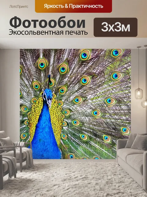 Фотообои Павлин