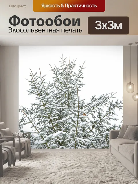 Фотообои дерево