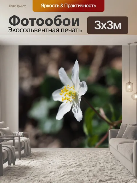Фотообои Древесные анемоны