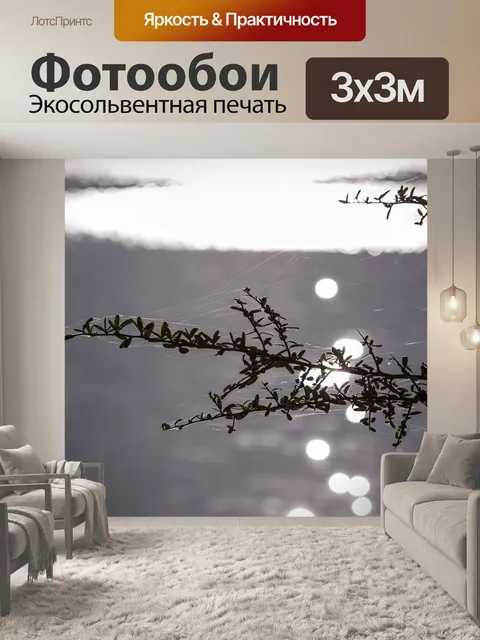 Фотообои Текстура