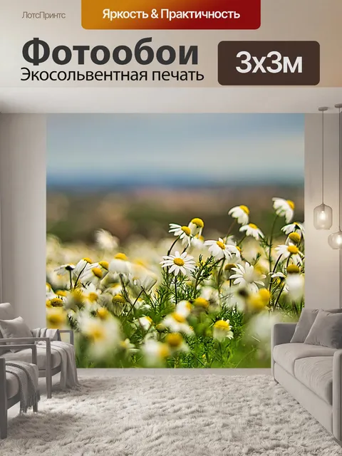 Фотообои Поле