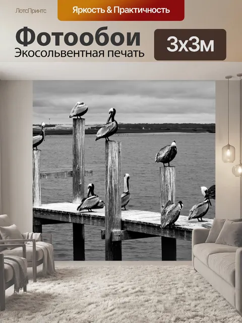 Фотообои Пеликаны в дикой природе