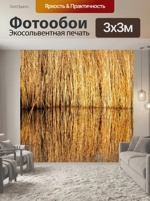 Фотообои Тростник
