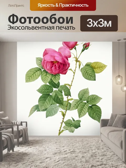 Фотообои Нарисованный цветок розы
