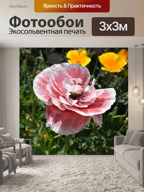 Фотообои Мак