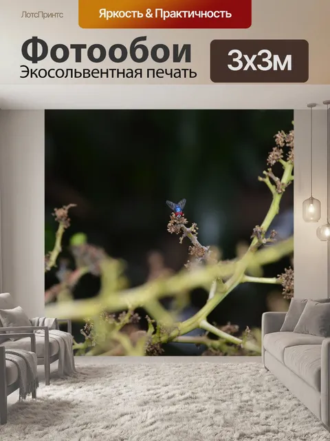 Фотообои Летать