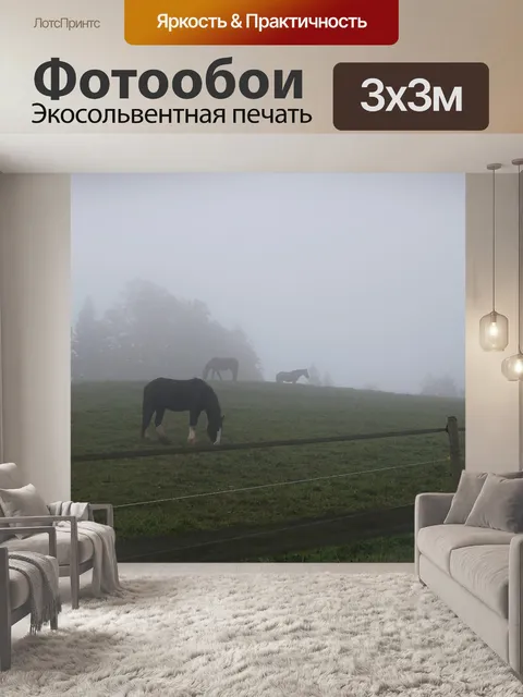 Фотообои Туман