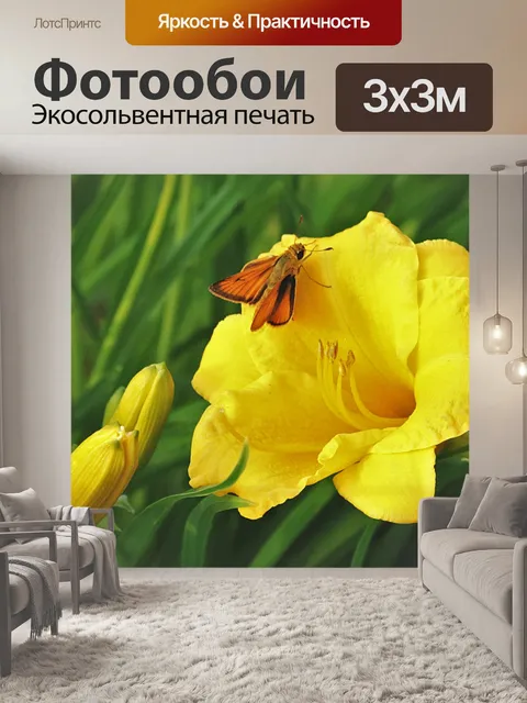 Фотообои Желтый цветок и бабочка