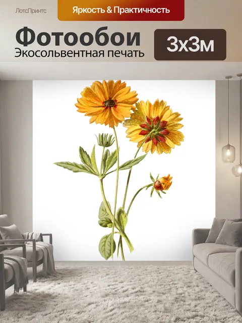 Фотообои Цветы