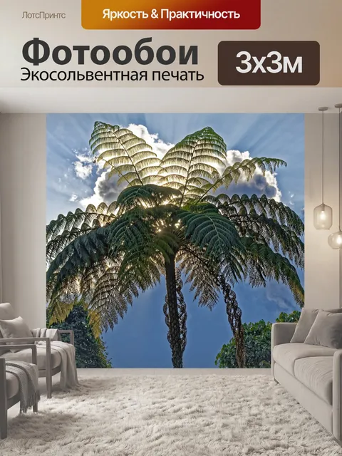 Фотообои Пальма
