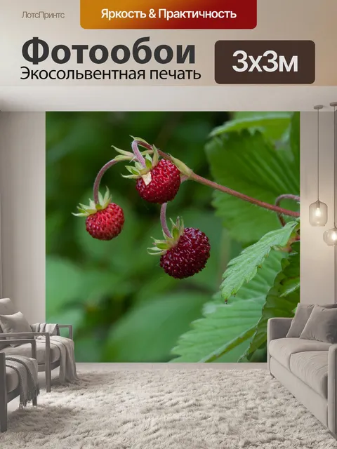 Фотообои Клубника