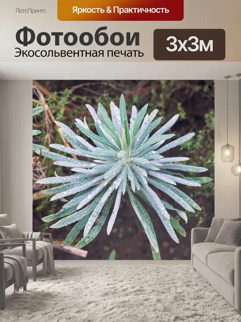 Фотообои Растение под дождем