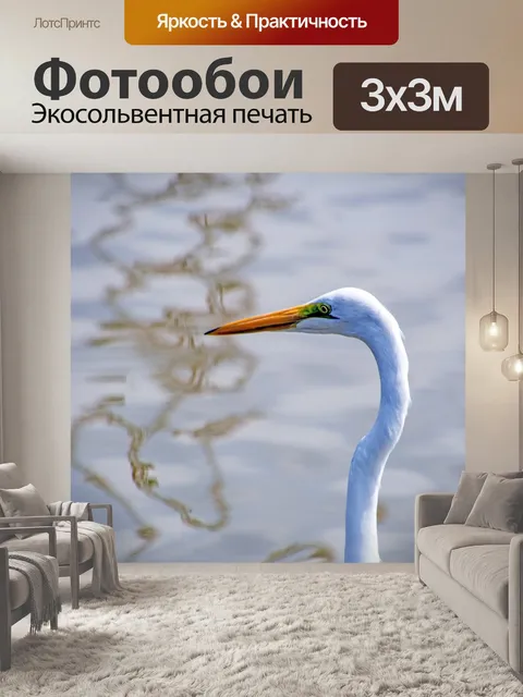 Фотообои Птиц