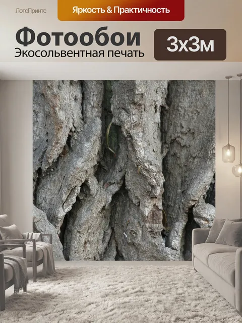 Фотообои Древесина